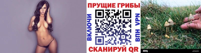 магазин  наркотиков  сайты даркнета как зайти  Галлюциногенные грибы мицелий  Усинск 